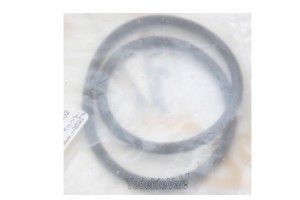 Renault Clio-Kango Şanzıman Arka Kapak Contası 