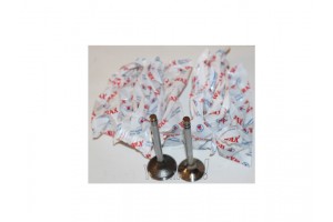 Renault 12 Subap Takımı 1300cc                     Renault 12 Subap Takımı 1300cc