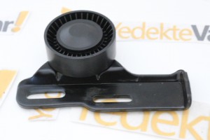 Renault Megane Alternatör Gergi Rulmanı  