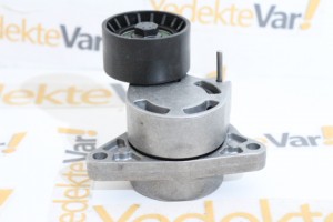 Renault Master III Alternatör Gergi Rulmanı  