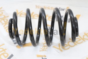 Renault Clio Helezon Yayı Arka       