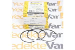 Renault Clio Kango Sekman Takımı 0,50 1.5Dci  