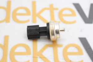 Renault Clio 3-4 Laguna 2-3 Hararet Müşürü 