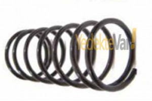 Renault 12 / TS-TX-Toros Helezon Yayı Arka 