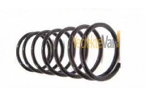 Renault 12 / TS-TX-Toros Helezon Yayı Arka 