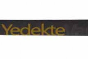 Kapı Bandı Arka Sağ Renault Megane II      