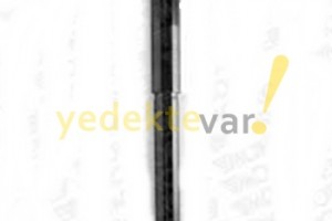 Renault Master Amortisör Ön 1998-               