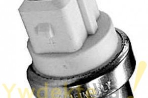 Renault Megane-Laguna Hararet Müşürü             