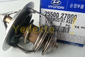 Termostat Hyundai Era-Getz-Elantra-Santa-Fe     Termostat Hyundai Era-Getz-Elantra-Santa-Fe